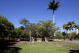 aterro do flamengo burle marx