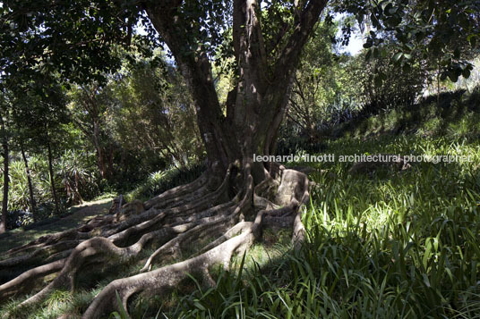 sítio roberto burle marx burle marx