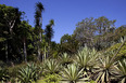 sítio roberto burle marx burle marx