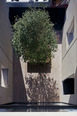 w 305 isay weinfeld