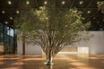 casa fasano isay weinfeld