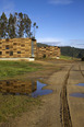 morandé winery martin hurtado