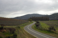 morandé winery martin hurtado