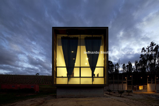 morandé winery martin hurtado