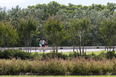 micaela bastidas park at puerto madero sebastian vila