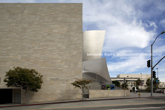 the walt disney concert hall frank o. gehry