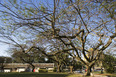 h-10 officers residences at ita oscar niemeyer