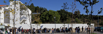 escola rodrigues lobo