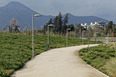 bicentenario park teodoro fernández 