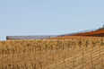 cantina antinori archea