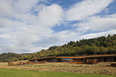 cantina antinori archea