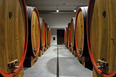 cantina antinori archea