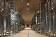 cantina antinori archea