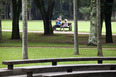 parque da cidade roberto burle marx burle marx