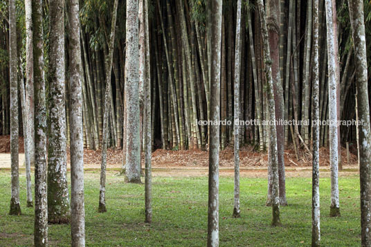 parque da cidade roberto burle marx burle marx