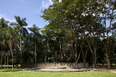 parque da cidade roberto burle marx burle marx