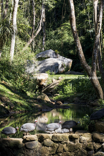 casa jg miguel pinto guimarães