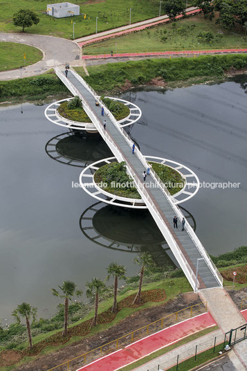 bayer bridge loeb capote