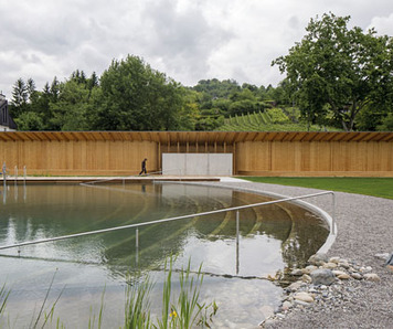 natural swimming pool