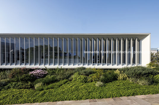 instituto ling isay weinfeld