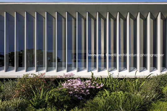 instituto ling isay weinfeld