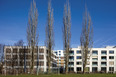 emmi-main office and apartment complex rüssli architekten