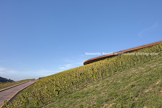 cantina antinori archea