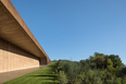 cantina antinori archea