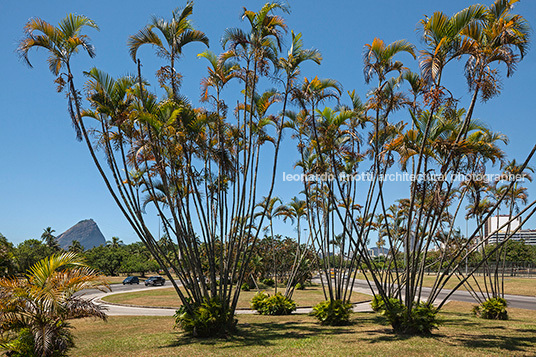 aterro do flamengo burle marx