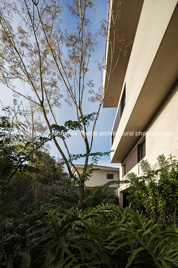 oka isay weinfeld