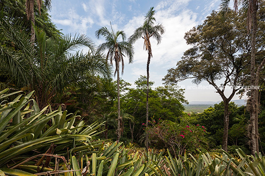 sítio roberto burle marx burle marx