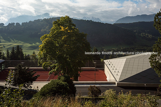 diamond domes rüssli architekten