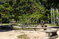 parque da jaqueira burle marx