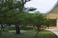 marquise - parque ibirapuera oscar niemeyer