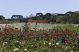 mátria parque de flores ja8 arquitetura e paisagem