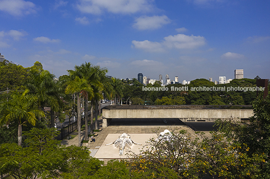 frans krajcberg: por uma arquitetura da natureza - mube diego matos