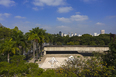 frans krajcberg: por uma arquitetura da natureza - mube diego matos