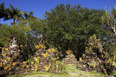 fazenda vargem grande burle marx