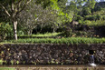 fazenda vargem grande burle marx