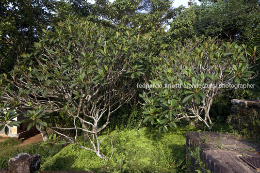 fazenda vargem grande burle marx