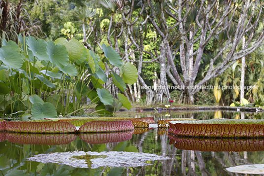 fazenda vargem grande burle marx