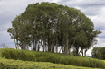 terramilia rancho queimado ja8 arquitetura e paisagem