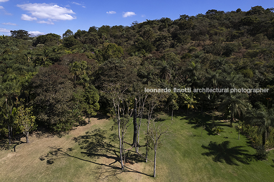 giuseppe penone: elevazione - inhotim GIUSEPPE PENONE
