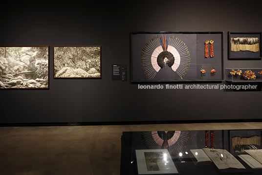 mupotyra: arqueologia amazônica - mube guilherme wisnik